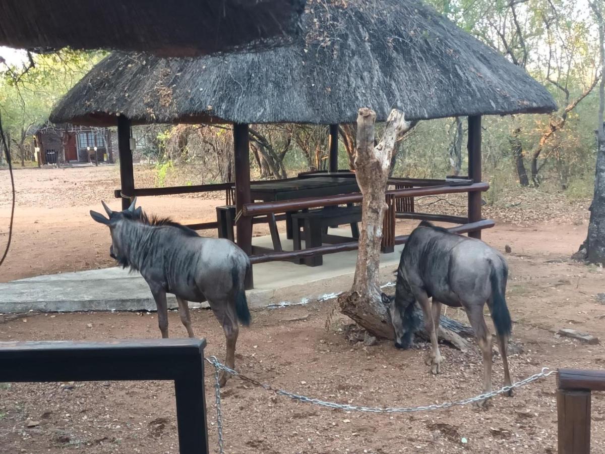 South Safari Lodge Марлот Парк Екстериор снимка