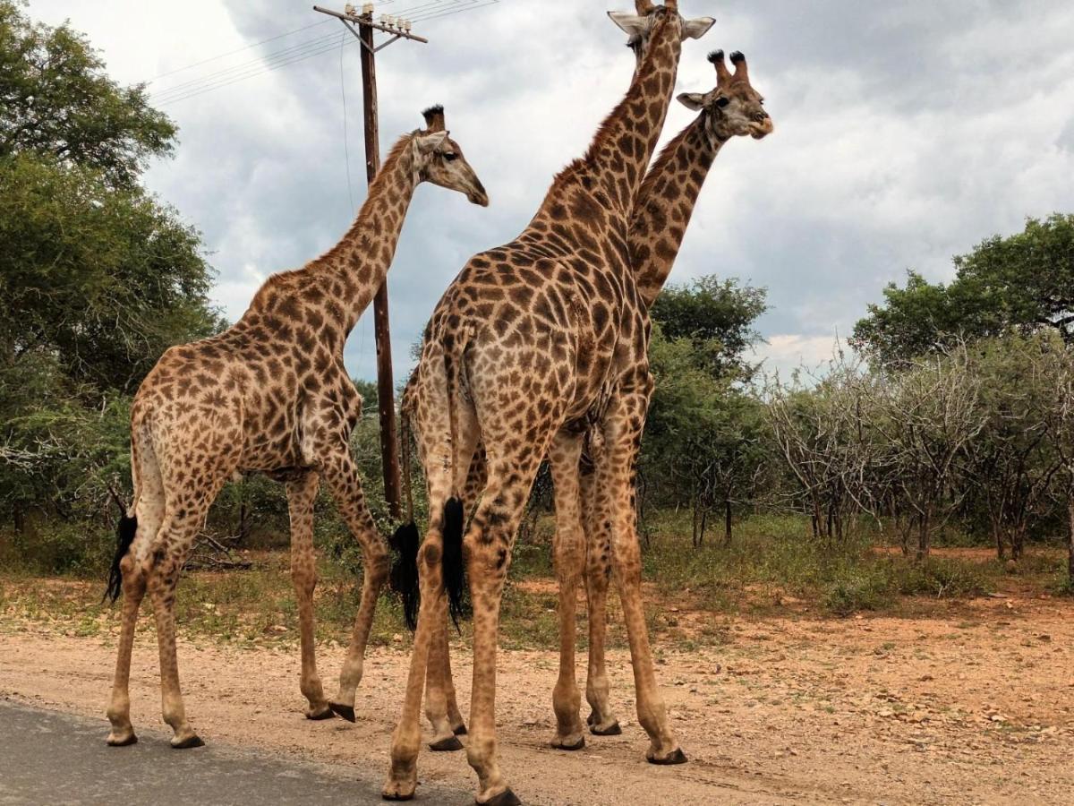 South Safari Lodge Марлот Парк Екстериор снимка