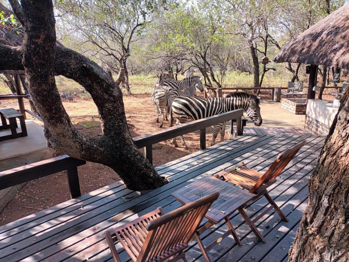 South Safari Lodge Марлот Парк Екстериор снимка